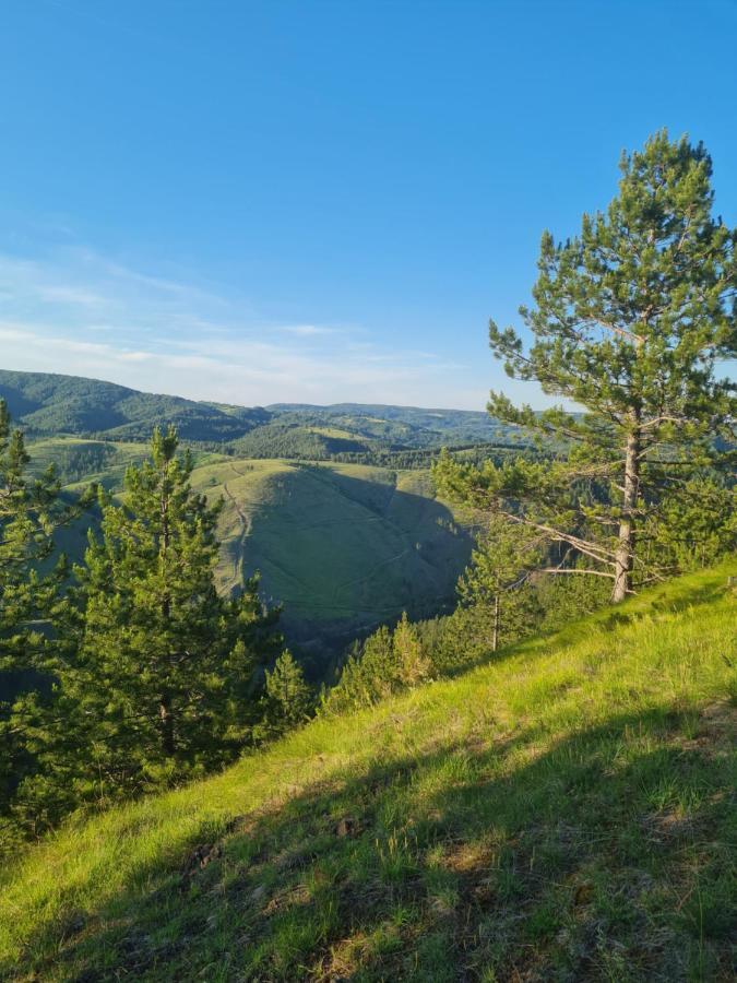 Apartman Juga Kremna Kültér fotó